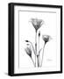 Bouquet of Gentian in Black and White-Albert Koetsier-Framed Art Print