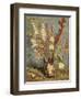 Bouquet of Gladioli, 1886-Vincent van Gogh-Framed Giclee Print