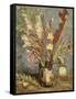 Bouquet of Gladioli, 1886-Vincent van Gogh-Framed Stretched Canvas