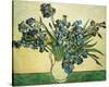 Bouquet of Irises-Vincent van Gogh-Stretched Canvas