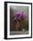Bouquet of Lilacs-Marta Teron-Framed Photographic Print