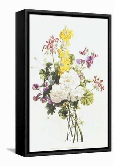 Bouquet of Mixed Flowers-Jean Louis Prevost-Framed Stretched Canvas