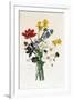 Bouquet of Narcissi and Anemone-Jean Louis Prevost-Framed Giclee Print