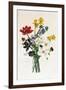 Bouquet of Narcissi and Anemone-Jean Louis Prevost-Framed Giclee Print