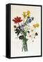 Bouquet of Narcissi and Anemone-Jean Louis Prevost-Framed Stretched Canvas