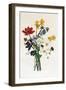 Bouquet of Narcissi and Anemone-Jean Louis Prevost-Framed Giclee Print