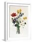 Bouquet of Narcissi and Anemone-Jean Louis Prevost-Framed Giclee Print