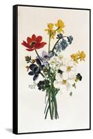 Bouquet of Narcissi and Anemone-Jean Louis Prevost-Framed Stretched Canvas