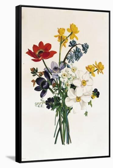 Bouquet of Narcissi and Anemone-Jean Louis Prevost-Framed Stretched Canvas