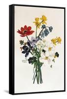 Bouquet of Narcissi and Anemone-Jean Louis Prevost-Framed Stretched Canvas