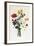 Bouquet of Narcissi and Anemone-Jean Louis Prevost-Framed Giclee Print