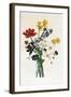 Bouquet of Narcissi and Anemone-Jean Louis Prevost-Framed Giclee Print