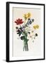 Bouquet of Narcissi and Anemone-Jean Louis Prevost-Framed Giclee Print