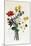 Bouquet of Narcissi and Anemone-Jean Louis Prevost-Mounted Giclee Print