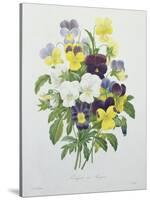 Bouquet of Pansies, Engraved by Victor, from 'Choix Des Plus Belles Fleurs', 1827-Pierre-Joseph Redouté-Stretched Canvas