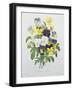 Bouquet of Pansies, Engraved by Victor, from 'Choix Des Plus Belles Fleurs', 1827-Pierre-Joseph Redouté-Framed Giclee Print