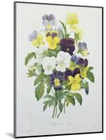 Bouquet of Pansies, Engraved by Victor, from 'Choix Des Plus Belles Fleurs', 1827-Pierre-Joseph Redouté-Mounted Giclee Print