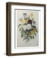 Bouquet of Pansies-Pierre-Joseph Redoute-Framed Art Print