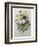 Bouquet of Pansies-Pierre-Joseph Redoute-Framed Art Print