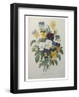 Bouquet of Pansies-Pierre-Joseph Redoute-Framed Art Print