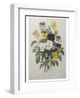 Bouquet of Pansies-Pierre-Joseph Redoute-Framed Art Print