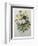 Bouquet of Pansies-Pierre-Joseph Redoute-Framed Art Print