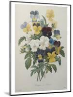 Bouquet of Pansies-Pierre-Joseph Redoute-Mounted Art Print