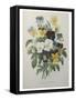 Bouquet of Pansies-Pierre-Joseph Redoute-Framed Stretched Canvas