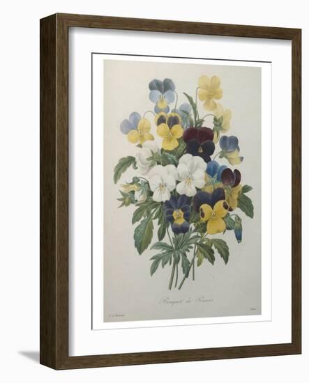 Bouquet of Pansies-Pierre-Joseph Redoute-Framed Art Print