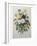 Bouquet of Pansies-Pierre-Joseph Redoute-Framed Art Print