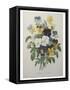 Bouquet of Pansies-Pierre-Joseph Redoute-Framed Stretched Canvas