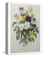 Bouquet of Pansies-Pierre-Joseph Redoute-Stretched Canvas