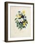 Bouquet of Pansies-Pierre-Joseph Redouté-Framed Giclee Print