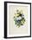 Bouquet of Pansies-Pierre-Joseph Redouté-Framed Giclee Print