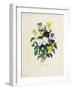 Bouquet of Pansies-Pierre-Joseph Redouté-Framed Giclee Print