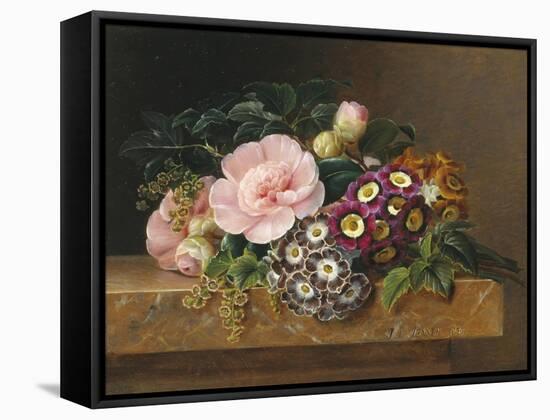 Bouquet of Pink Camellias and Primula on Marble Ledge-Johan Laurentz Jensen-Framed Stretched Canvas