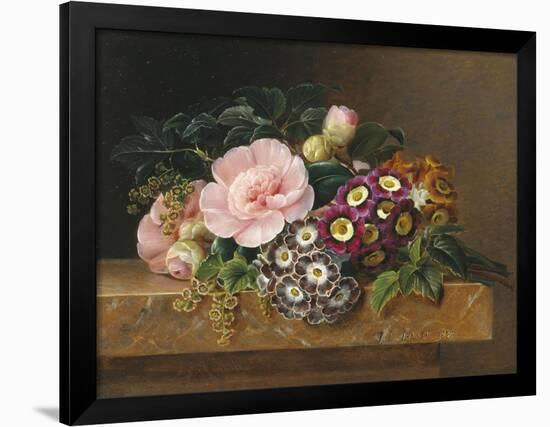 Bouquet of Pink Camellias and Primula on Marble Ledge-Johan Laurentz Jensen-Framed Giclee Print