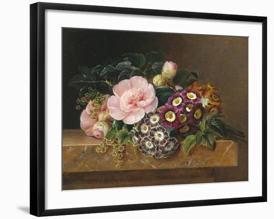 Bouquet of Pink Camellias and Primula on Marble Ledge-Johan Laurentz Jensen-Framed Giclee Print