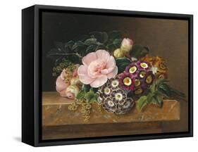 Bouquet of Pink Camellias and Primula on Marble Ledge-Johan Laurentz Jensen-Framed Stretched Canvas