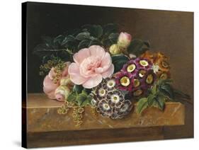 Bouquet of Pink Camellias and Primula on Marble Ledge-Johan Laurentz Jensen-Stretched Canvas