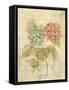 Bouquet of Pink Hydrangea-Cheri Blum-Framed Stretched Canvas