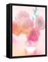 Bouquet of Pink Roses in a Vase-satel-Framed Stretched Canvas
