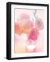 Bouquet of Pink Roses in a Vase-satel-Framed Photographic Print