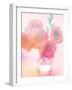 Bouquet of Pink Roses in a Vase-satel-Framed Photographic Print