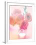 Bouquet of Pink Roses in a Vase-satel-Framed Photographic Print