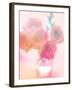 Bouquet of Pink Roses in a Vase-satel-Framed Photographic Print