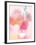 Bouquet of Pink Roses in a Vase-satel-Framed Photographic Print