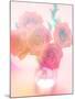 Bouquet of Pink Roses in a Vase-satel-Mounted Photographic Print