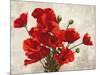 Bouquet of Poppies-Jenny Thomlinson-Mounted Art Print