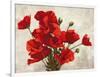 Bouquet of Poppies-Jenny Thomlinson-Framed Art Print
